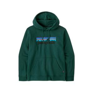 39622-casg-hooded-sweatshirt-patagonia-p-6-logo-uprisal-waterfall-green